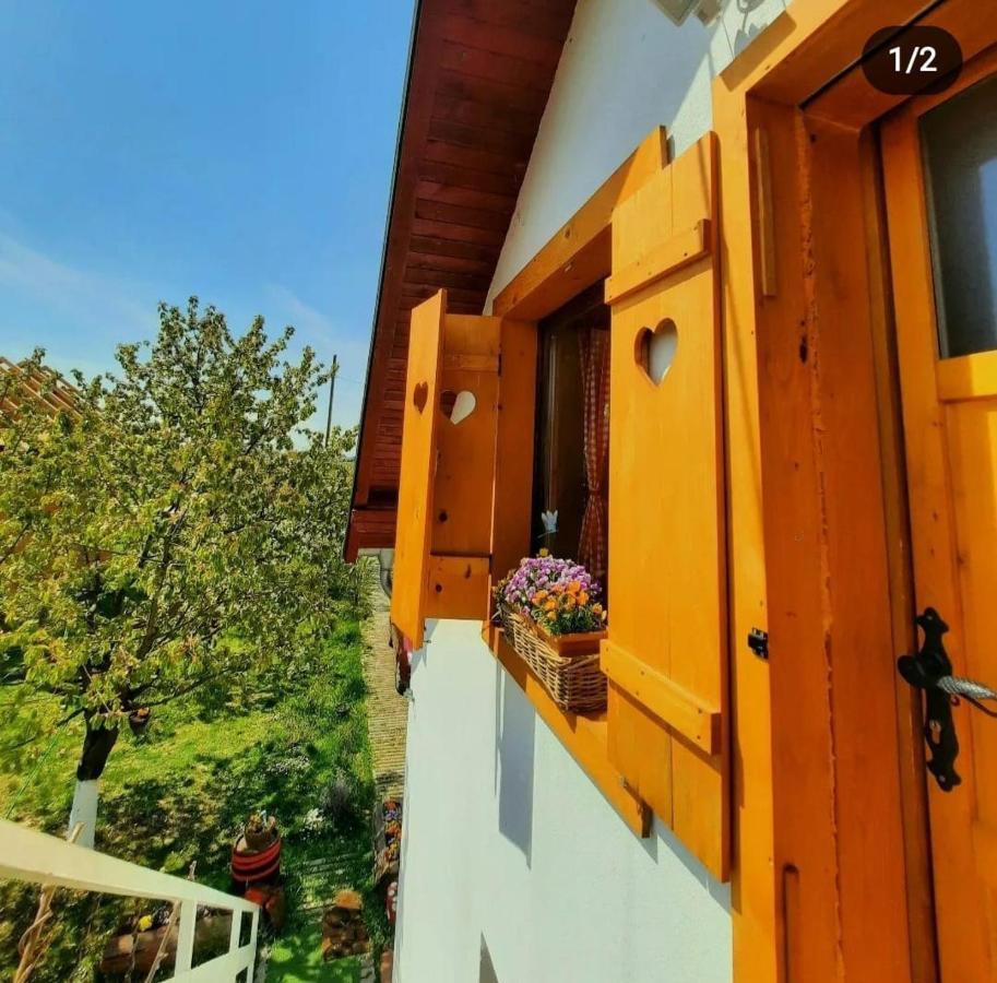 Hotel Kuca Za Odmor "Dva Srca" à Ceminac Extérieur photo