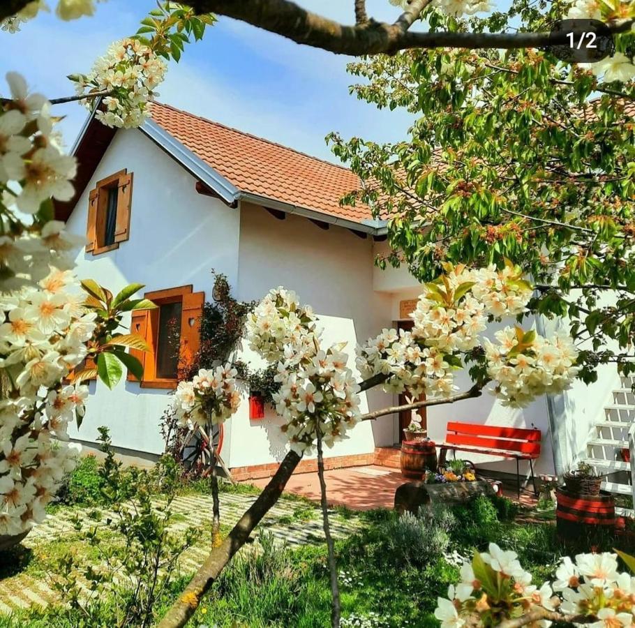 Hotel Kuca Za Odmor "Dva Srca" à Ceminac Extérieur photo