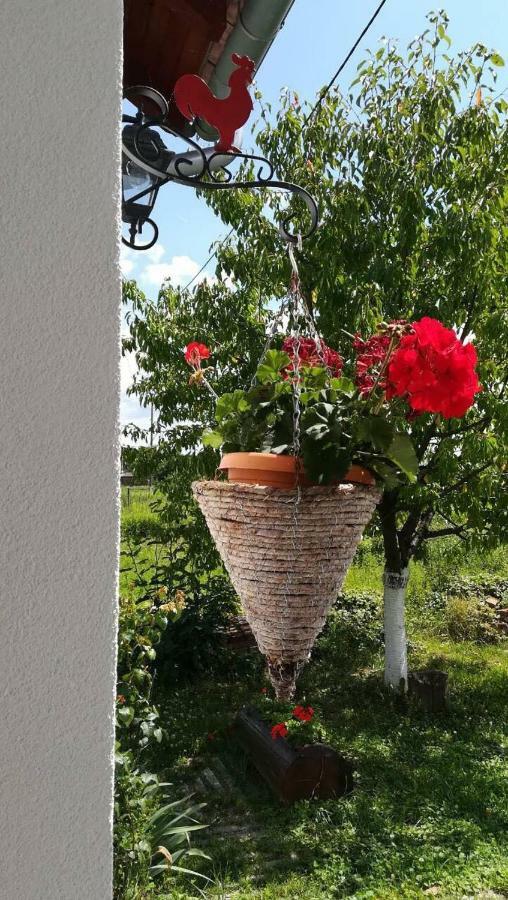 Hotel Kuca Za Odmor "Dva Srca" à Ceminac Extérieur photo