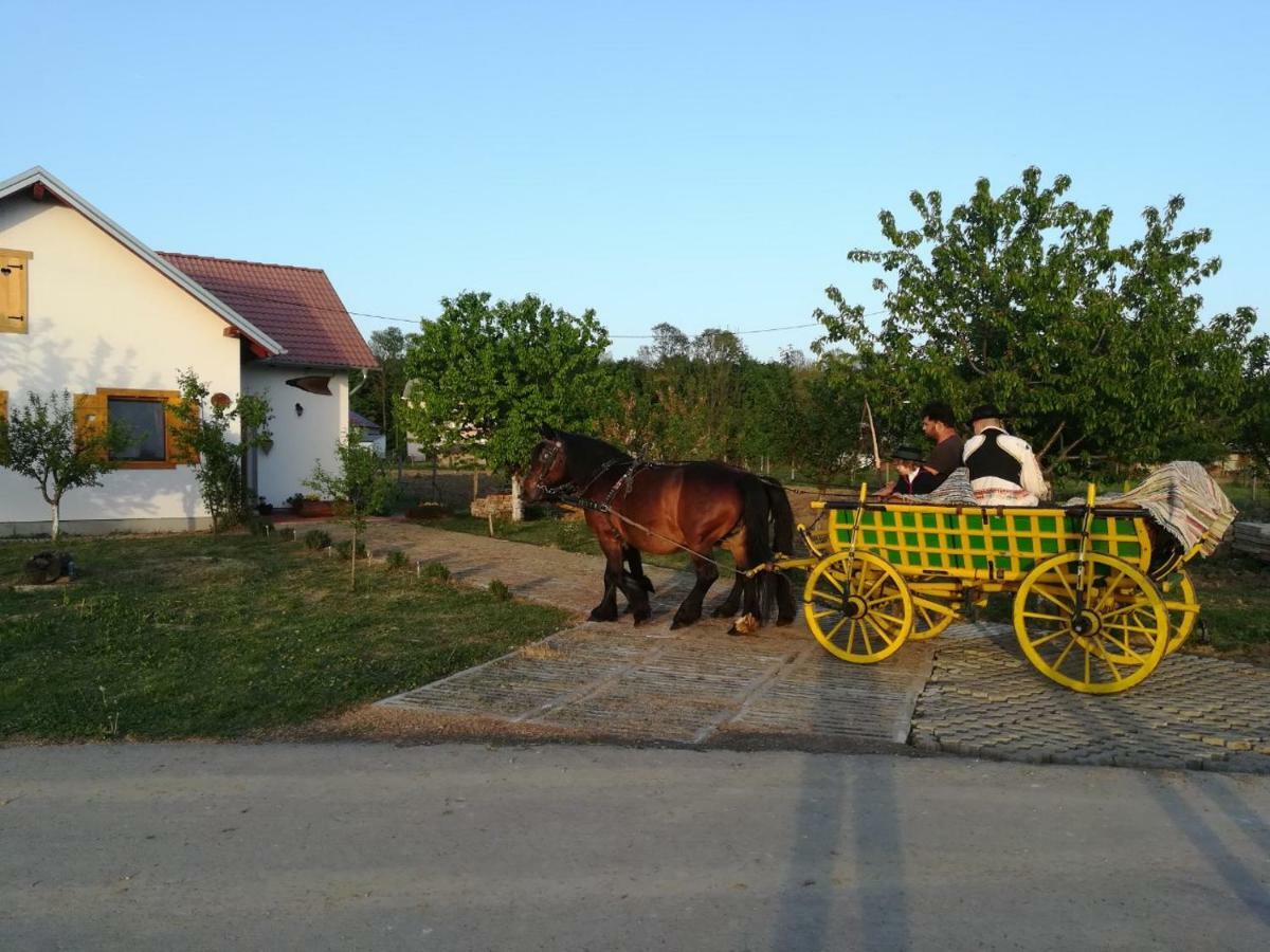 Hotel Kuca Za Odmor "Dva Srca" à Ceminac Extérieur photo